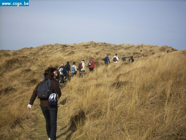 tersch02019.JPG