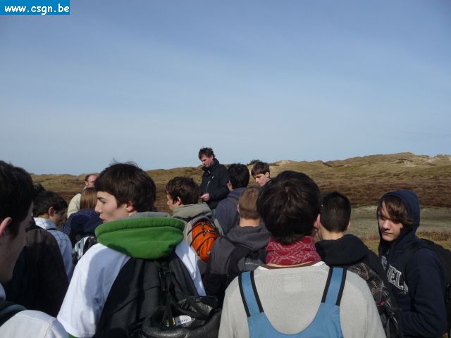 tersch02029.JPG
