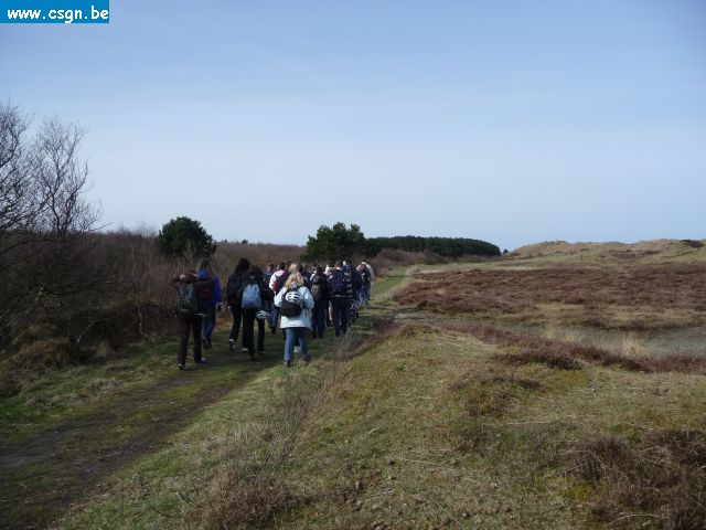 tersch02030.JPG