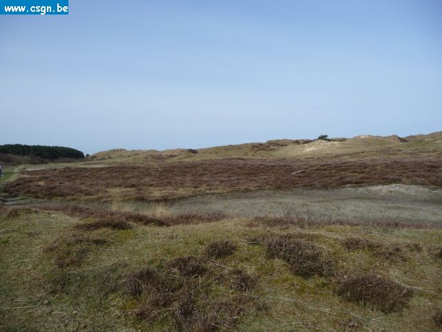 tersch02031.JPG