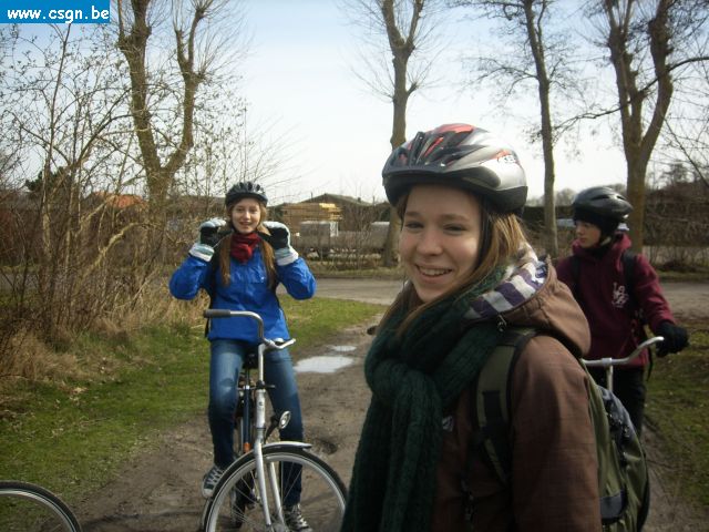 tersch02032.JPG