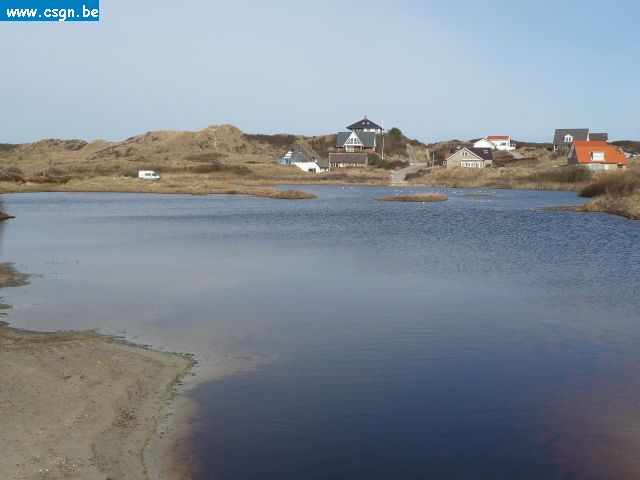 tersch02036.JPG