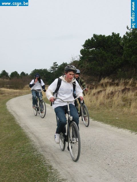 tersch02050.JPG