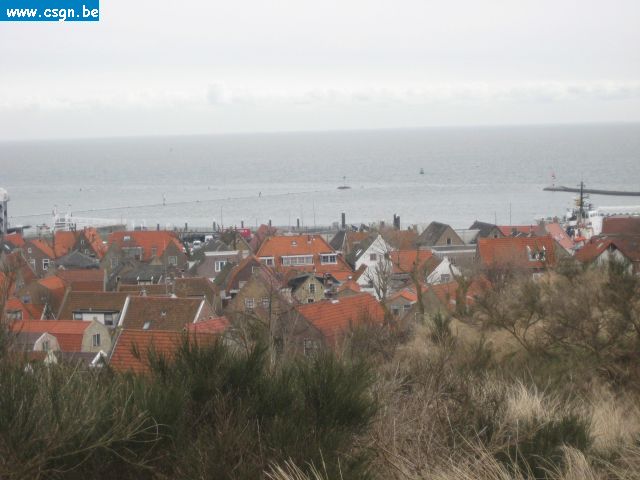 tersch02051.JPG