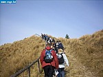 tersch02016.JPG