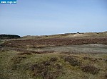 tersch02031.JPG