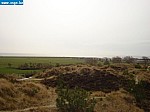 tersch02054.JPG