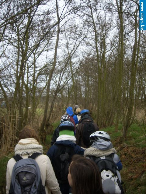 tersch03032.JPG
