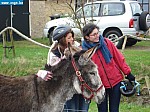 tersch03005.JPG