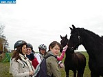 tersch03006.JPG