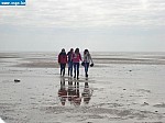 tersch03009.JPG