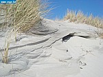tersch03016.JPG