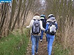 tersch03031.JPG