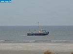 tersch03041.JPG