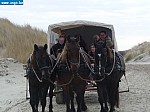 tersch03042.JPG