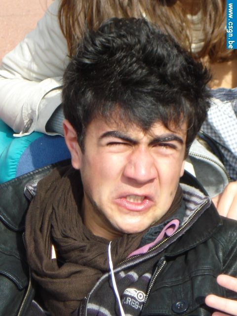 tersch04005.JPG