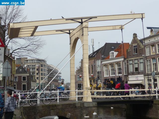 tersch04043.JPG