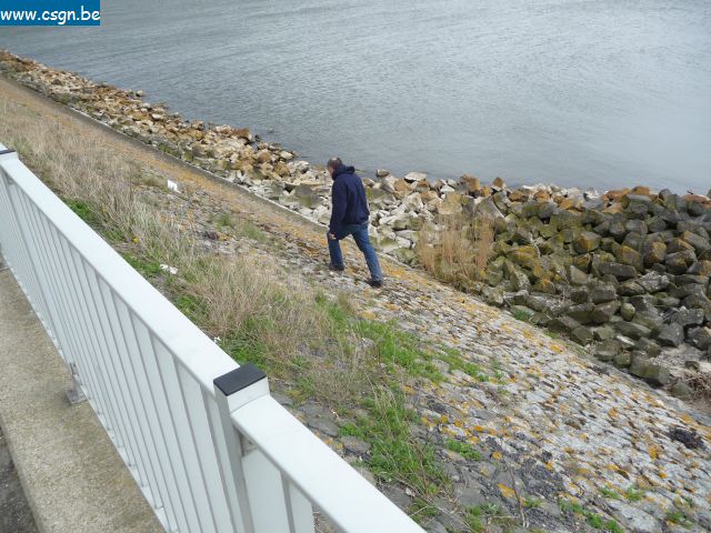 P1060503.JPG