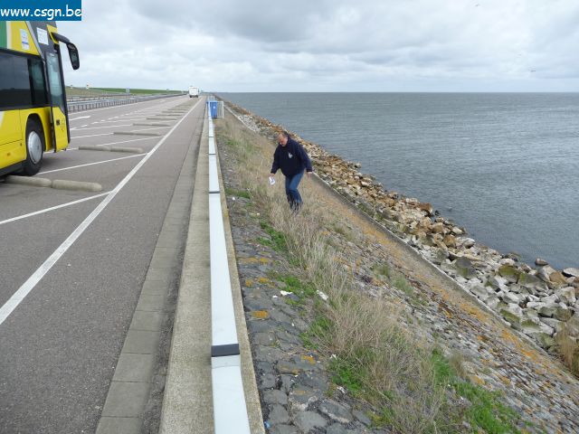 P1060504.JPG