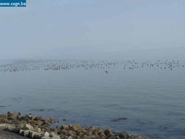 P1060575.JPG