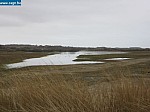 IMG_1522.JPG