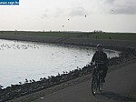 IMG_1532.JPG
