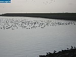 IMG_1534.JPG