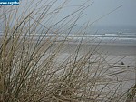 IMG_1544.JPG