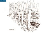 hoornerkooi1.jpg