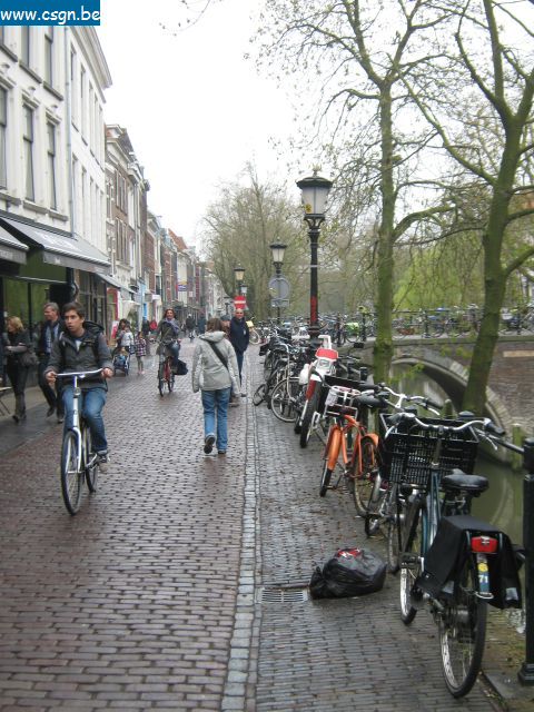 IMG_1577.JPG