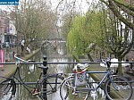 IMG_1578.JPG